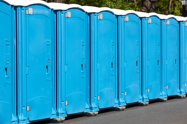 Best Portable Toilets with Baby Changing Stations  in Grafton, WV